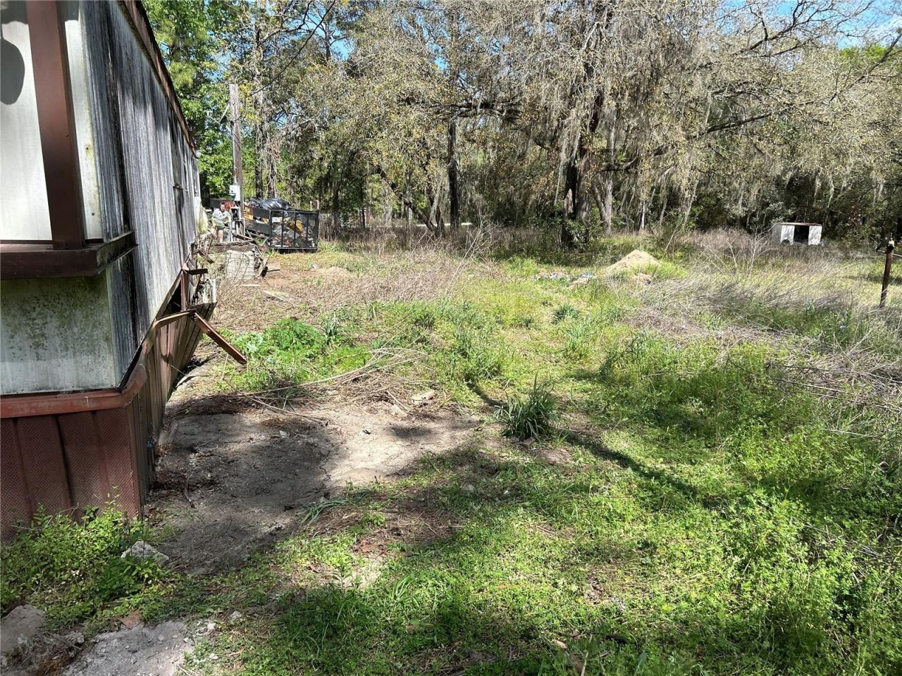 12231 NE 64th Place, Williston, FL 32696 Photo