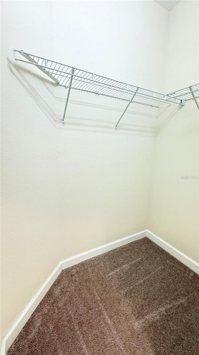 11540 Whistling Pine Way , Orlando, FL 32832 Photo