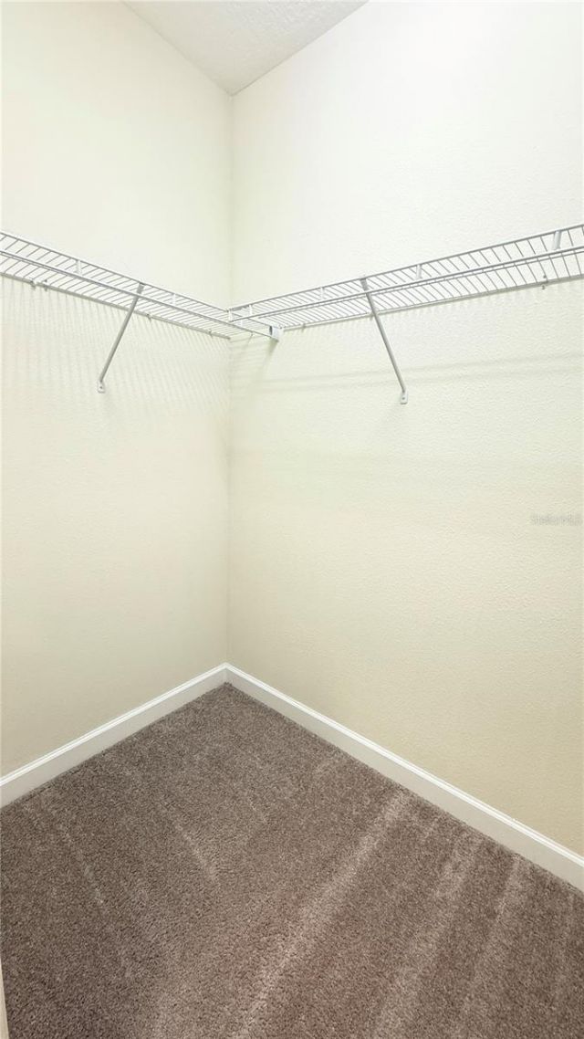 11540 Whistling Pine Way , Orlando, FL 32832 Photo