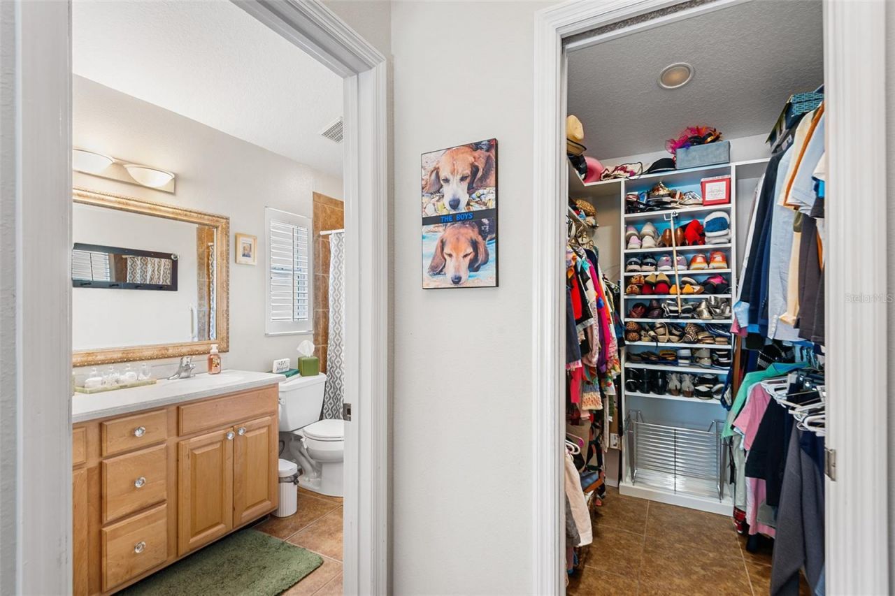 3126 Swan Lane , Safety Harbor, FL 34695 Photo