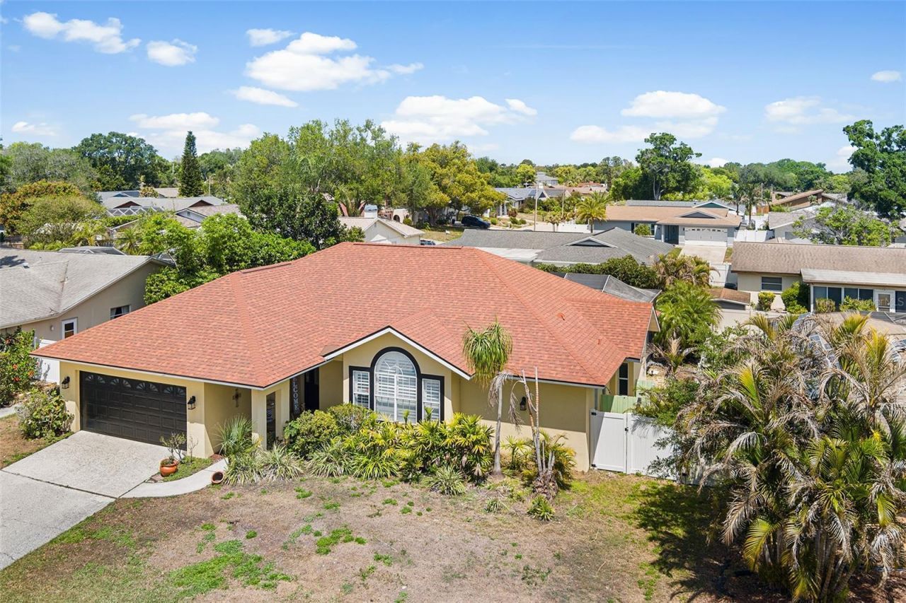 3126 Swan Lane , Safety Harbor, FL 34695 Photo