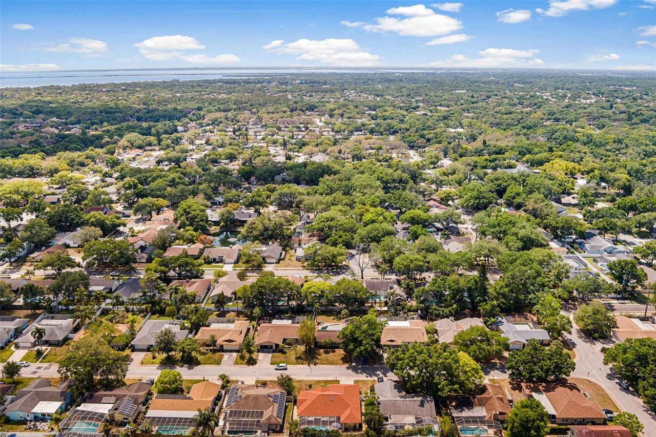 3126 Swan Lane , Safety Harbor, FL 34695 Photo