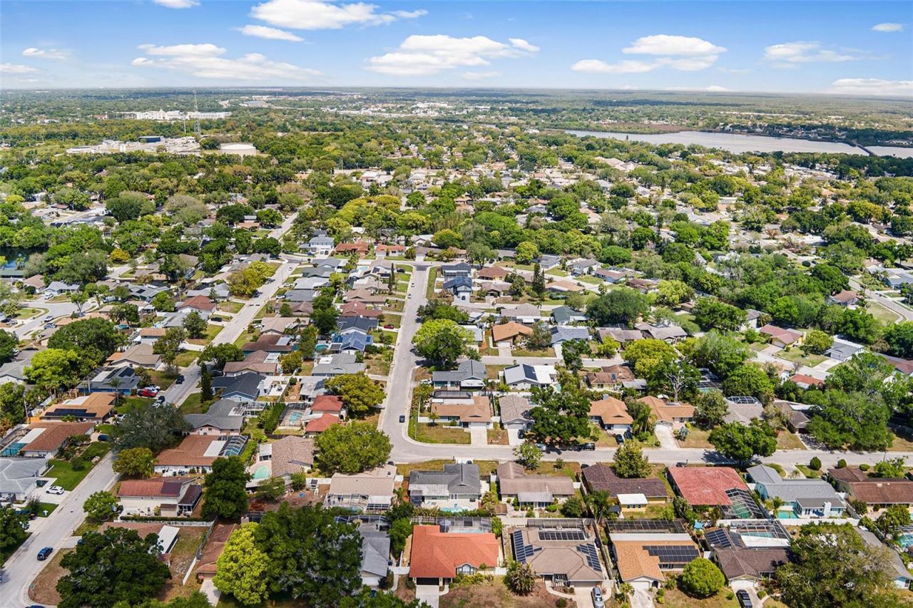 3126 Swan Lane , Safety Harbor, FL 34695 Photo