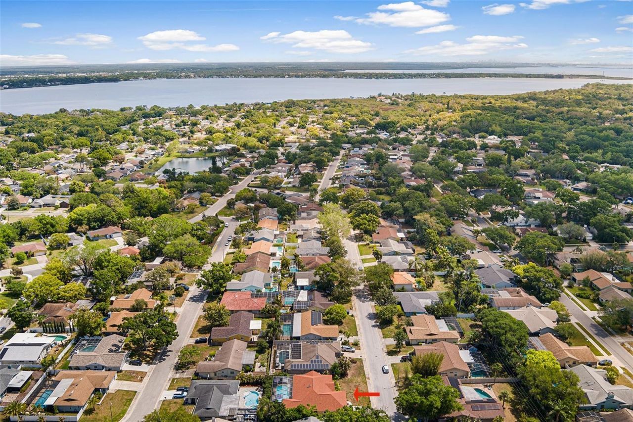 3126 Swan Lane , Safety Harbor, FL 34695 Photo