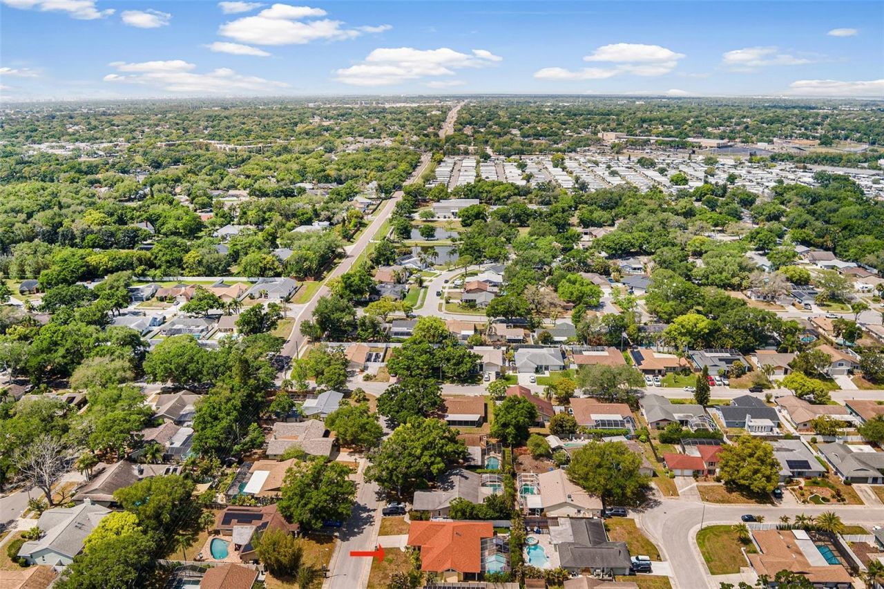 3126 Swan Lane , Safety Harbor, FL 34695 Photo