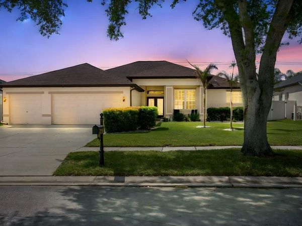 2814 DUNCAN TREE CIRCLE , VALRICO, FL 33594