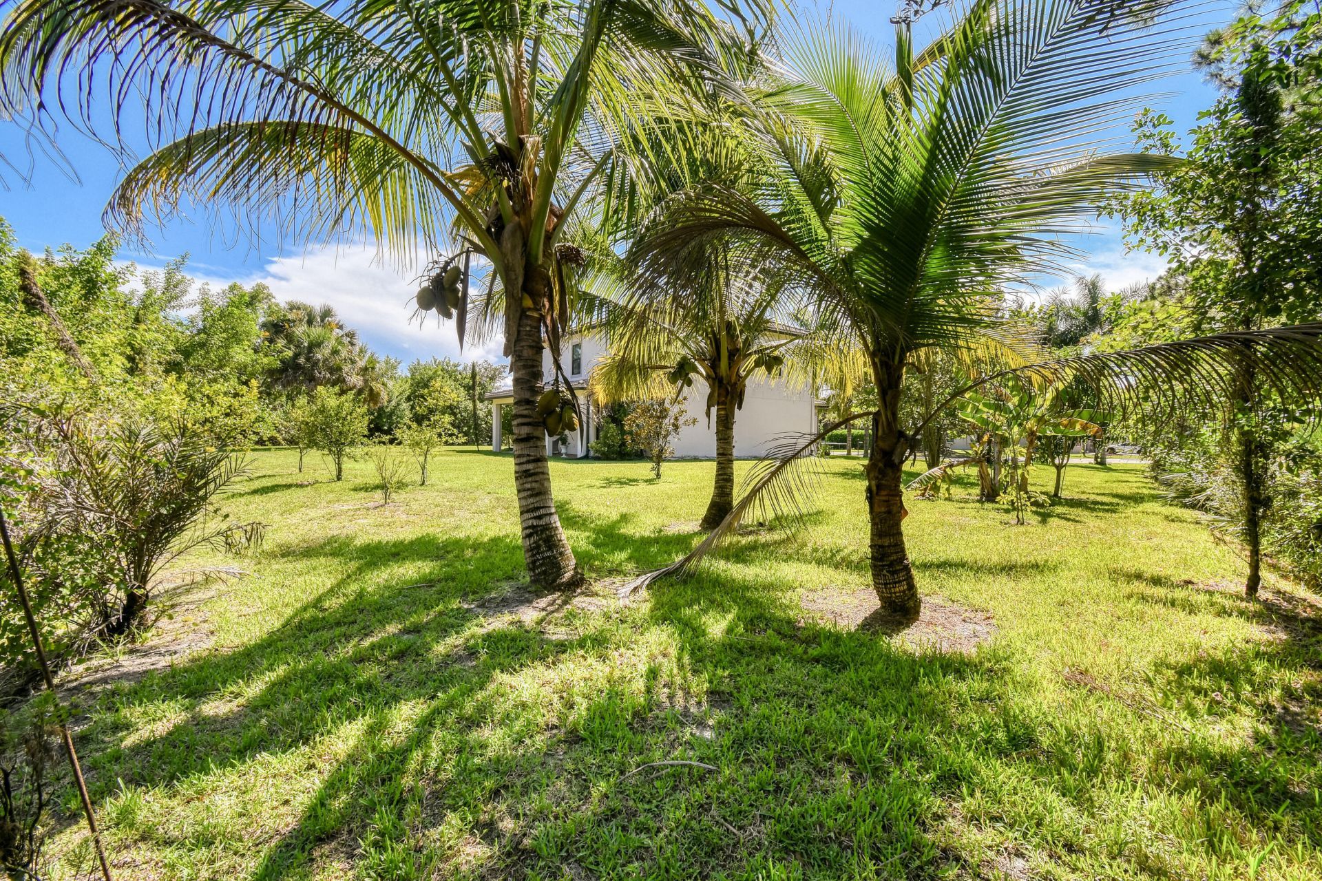 4540 SW Scrub Pine Terrace, Palm City, FL 34990 Photo