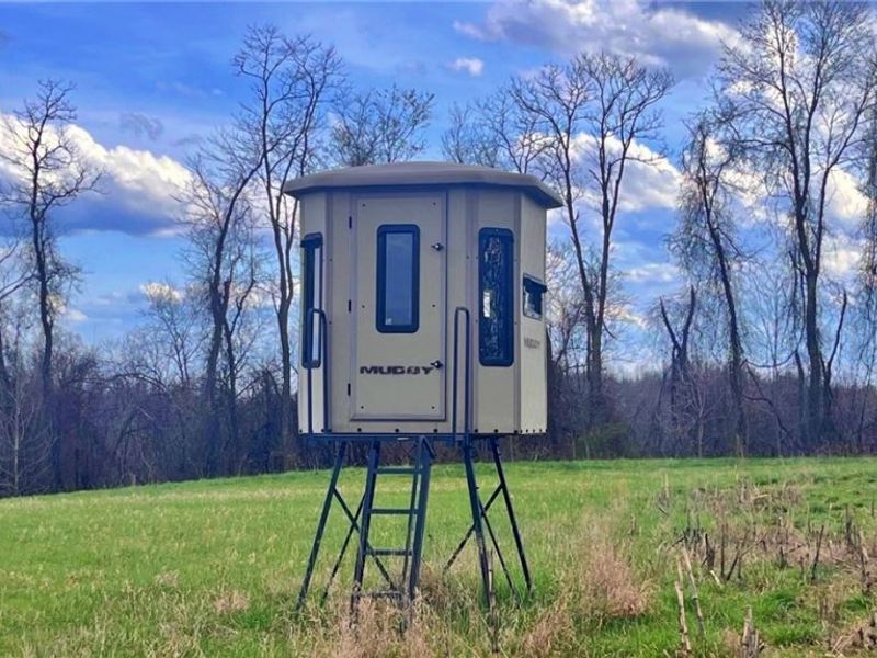 25796 Barber Road, Quaker City, OH 43773 Photo 10