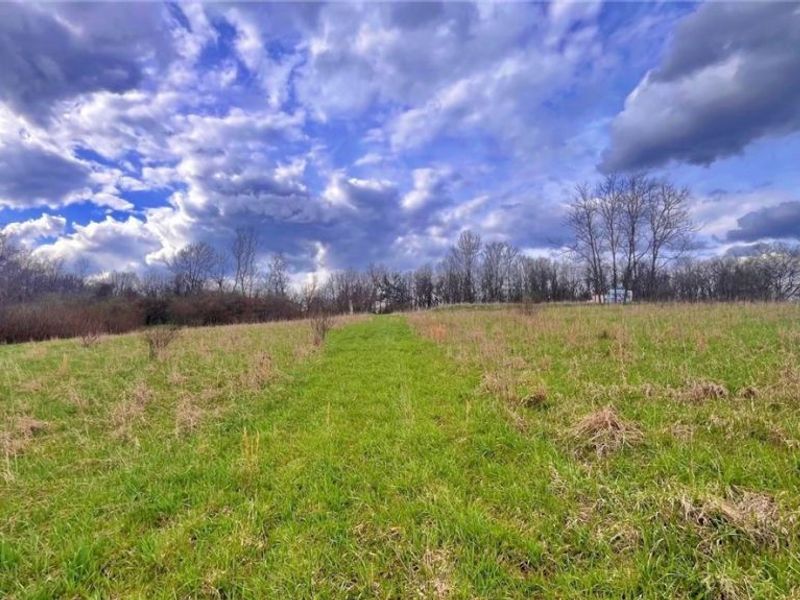 25796 Barber Road, Quaker City, OH 43773 Photo 11