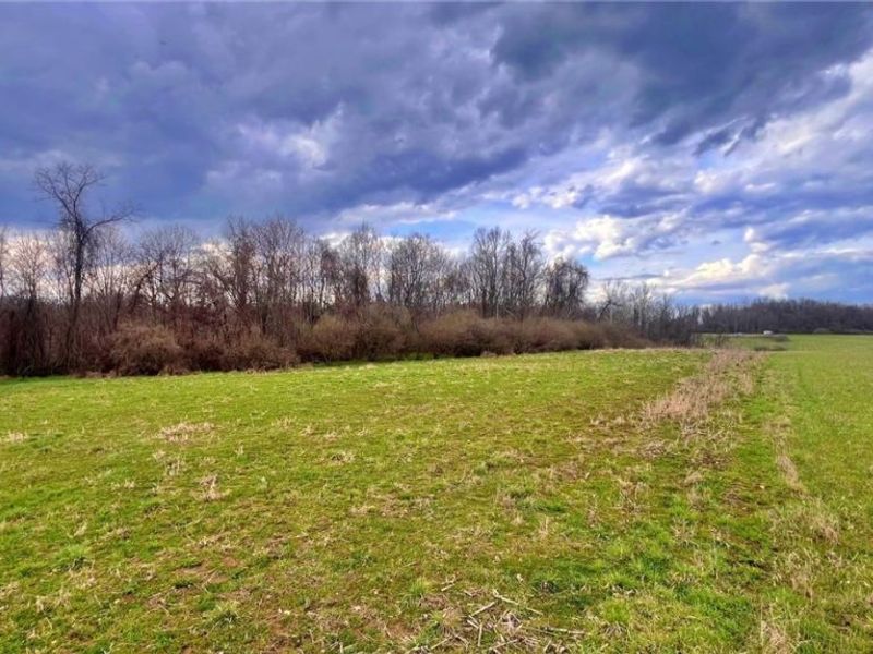 25796 Barber Road, Quaker City, OH 43773 Photo 12