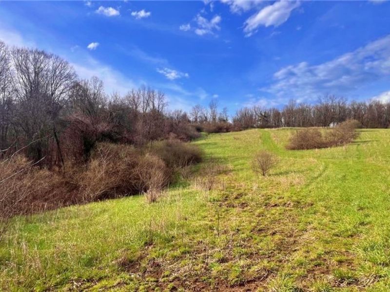 25796 Barber Road, Quaker City, OH 43773 Photo 13