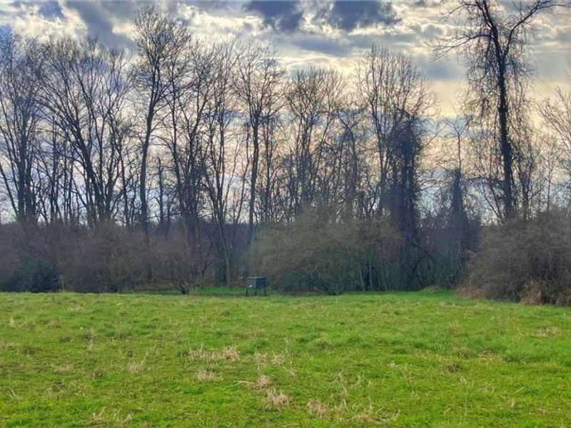 25796 Barber Road, Quaker City, OH 43773 Photo 14