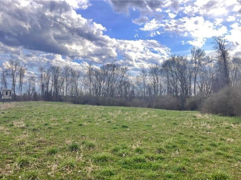 25796 Barber Road, Quaker City, OH 43773 Photo 15