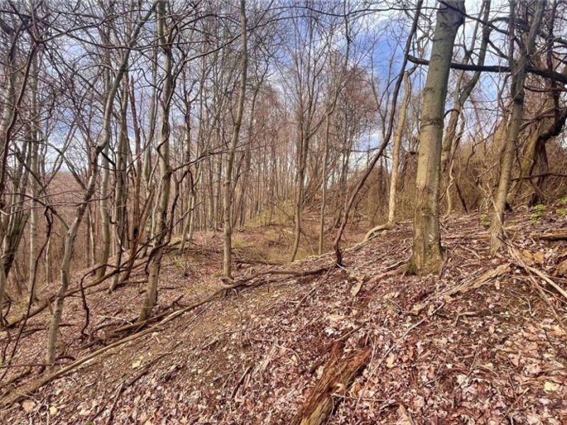 25796 Barber Road, Quaker City, OH 43773 Photo 16