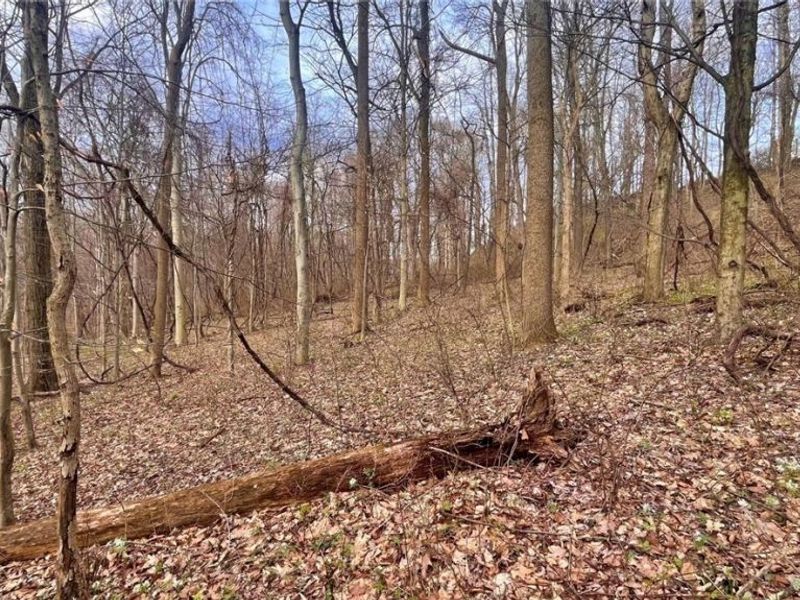 25796 Barber Road, Quaker City, OH 43773 Photo 17