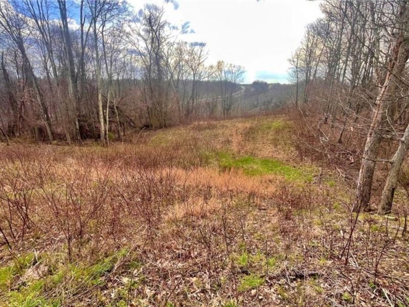 25796 Barber Road, Quaker City, OH 43773 Photo 18