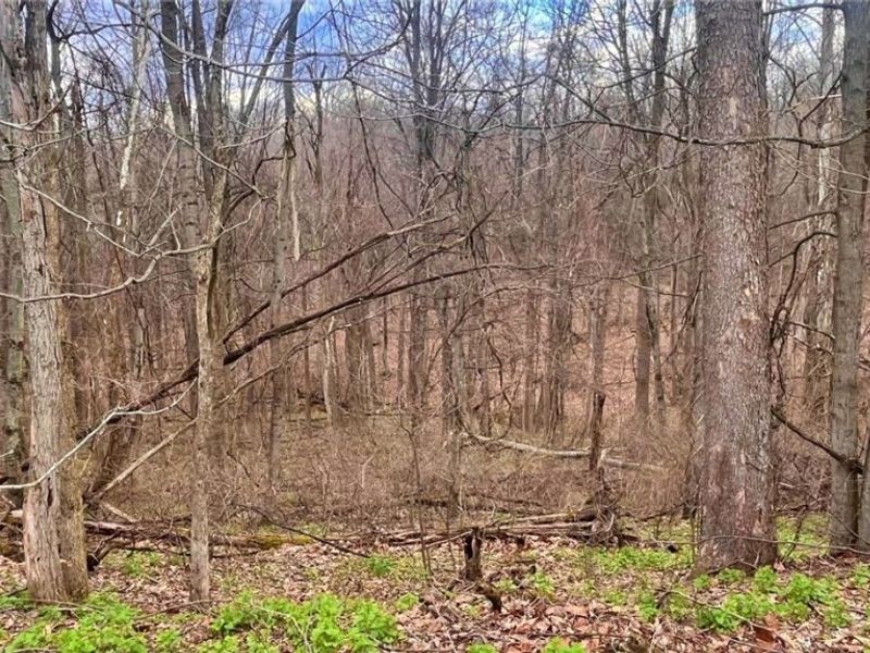 25796 Barber Road, Quaker City, OH 43773 Photo 19