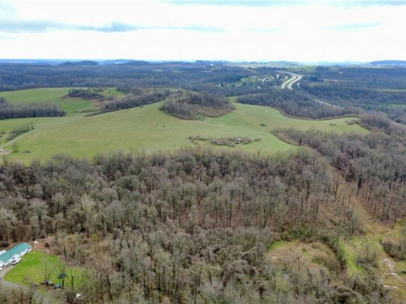 25796 Barber Road, Quaker City, OH 43773 Photo 2