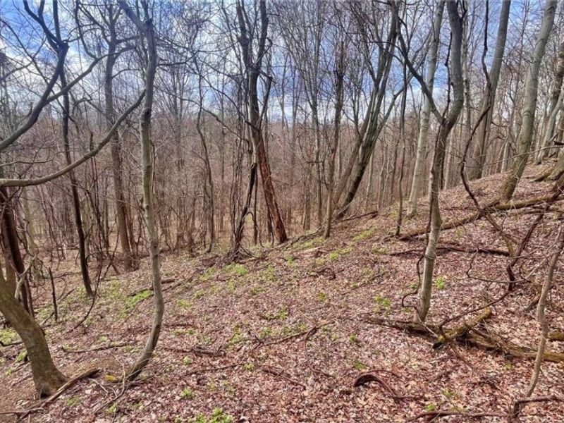 25796 Barber Road, Quaker City, OH 43773 Photo 20