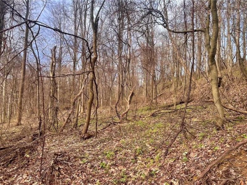 25796 Barber Road, Quaker City, OH 43773 Photo 21