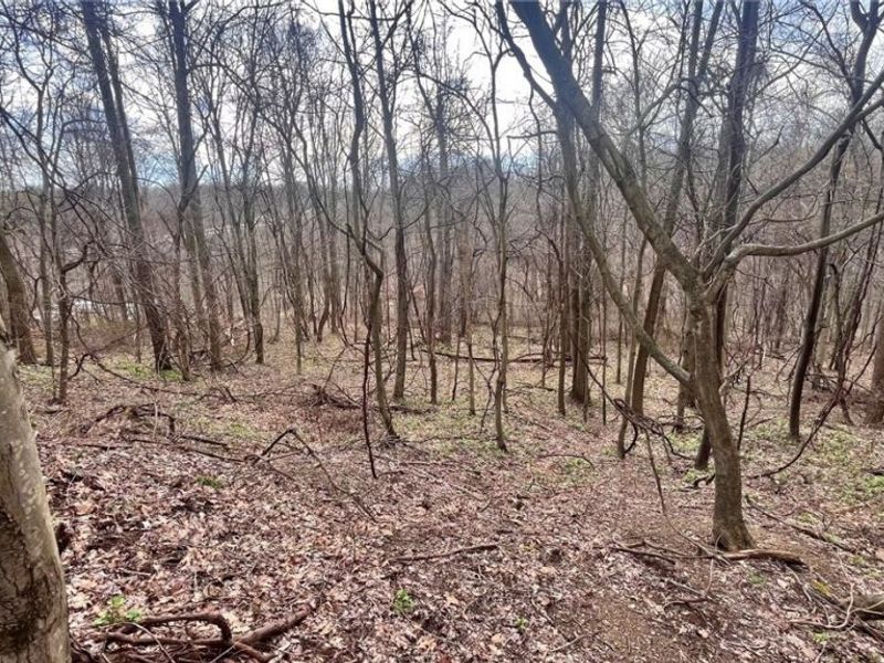 25796 Barber Road, Quaker City, OH 43773 Photo 22