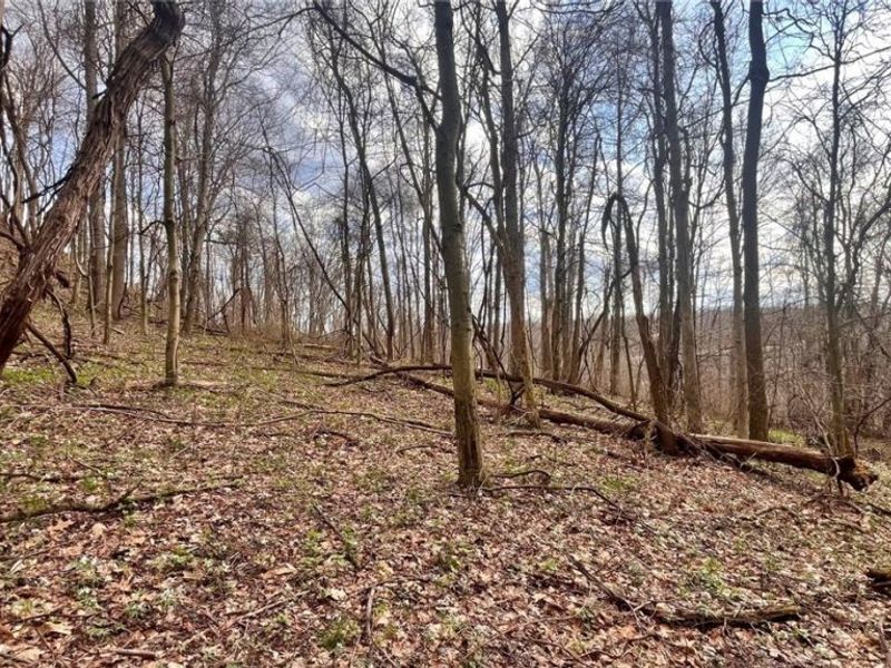 25796 Barber Road, Quaker City, OH 43773 Photo 23