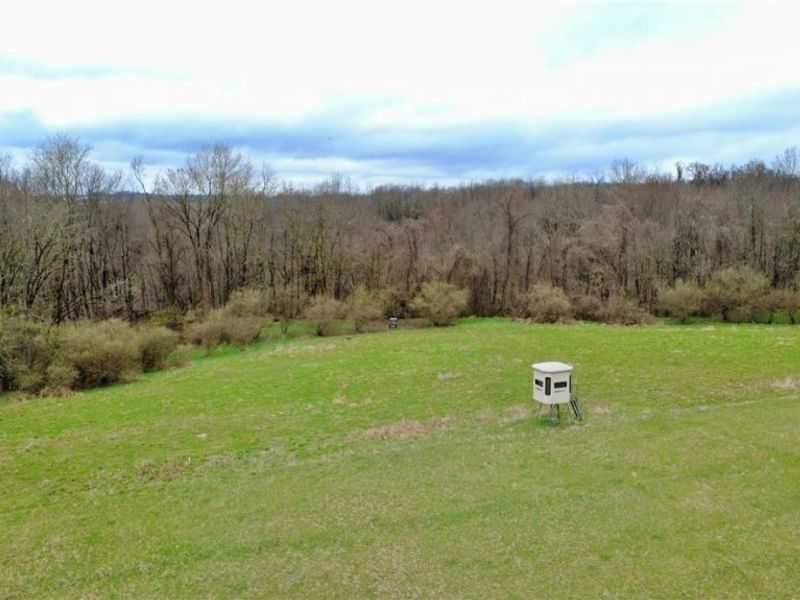 25796 Barber Road, Quaker City, OH 43773 Photo 24