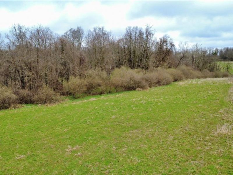 25796 Barber Road, Quaker City, OH 43773 Photo 26