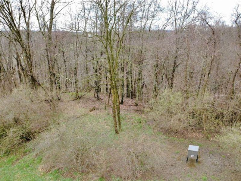 25796 Barber Road, Quaker City, OH 43773 Photo 27