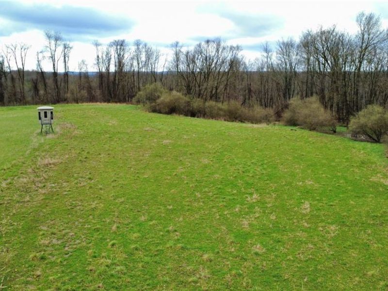 25796 Barber Road, Quaker City, OH 43773 Photo 28