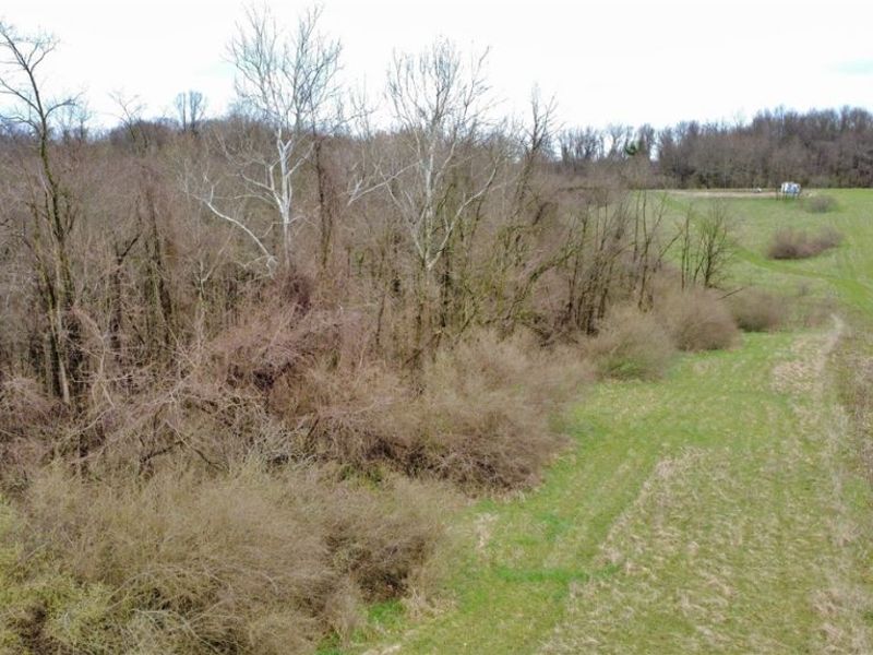 25796 Barber Road, Quaker City, OH 43773 Photo 29