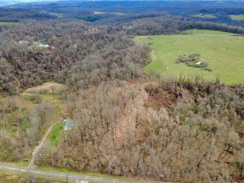 25796 Barber Road, Quaker City, OH 43773 Photo 3