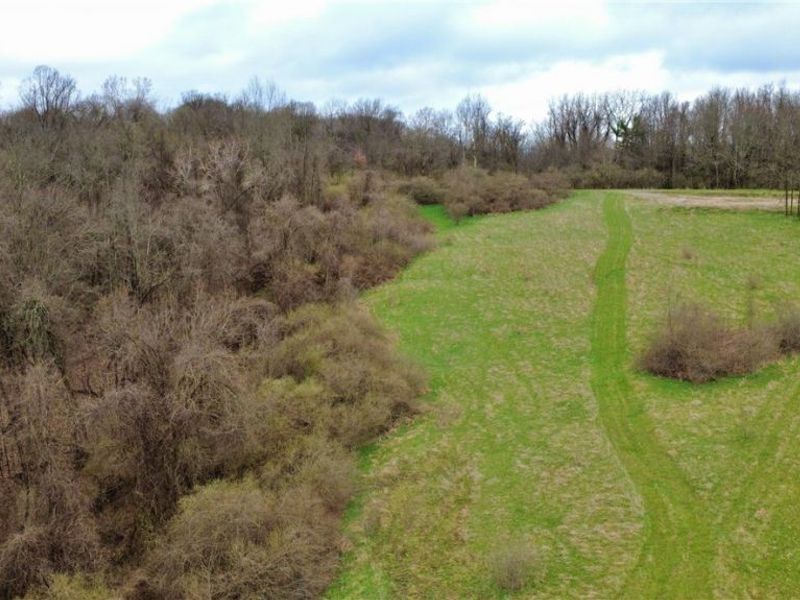 25796 Barber Road, Quaker City, OH 43773 Photo 30