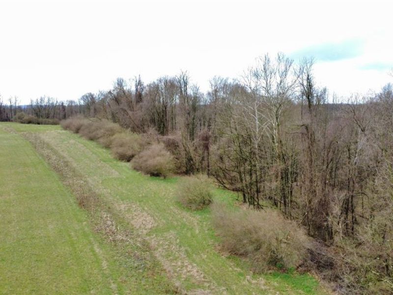 25796 Barber Road, Quaker City, OH 43773 Photo 31