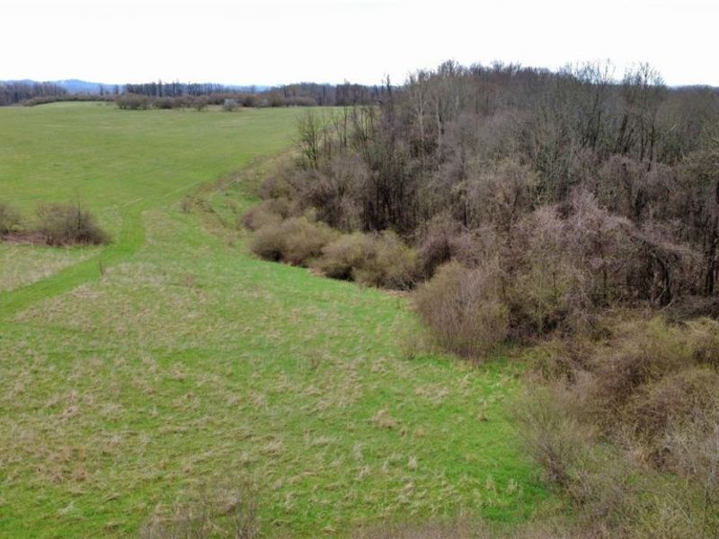 25796 Barber Road, Quaker City, OH 43773 Photo 32