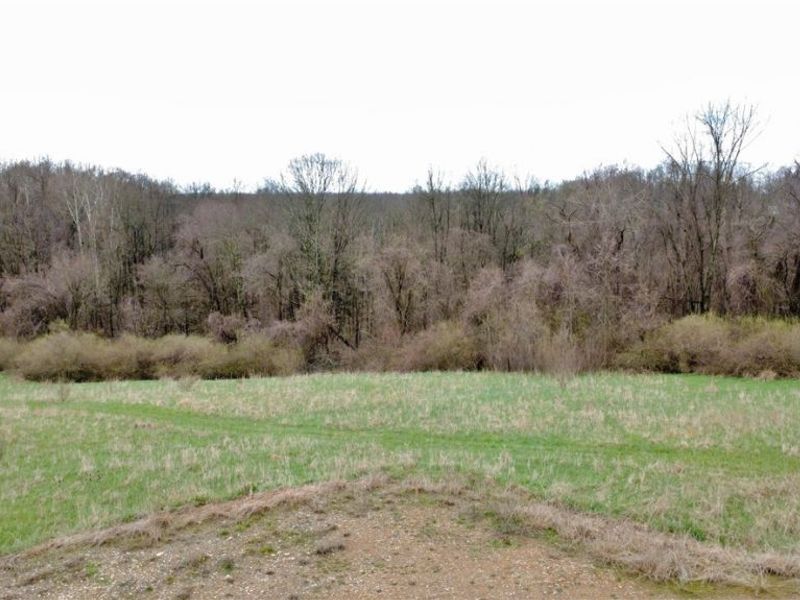 25796 Barber Road, Quaker City, OH 43773 Photo 35