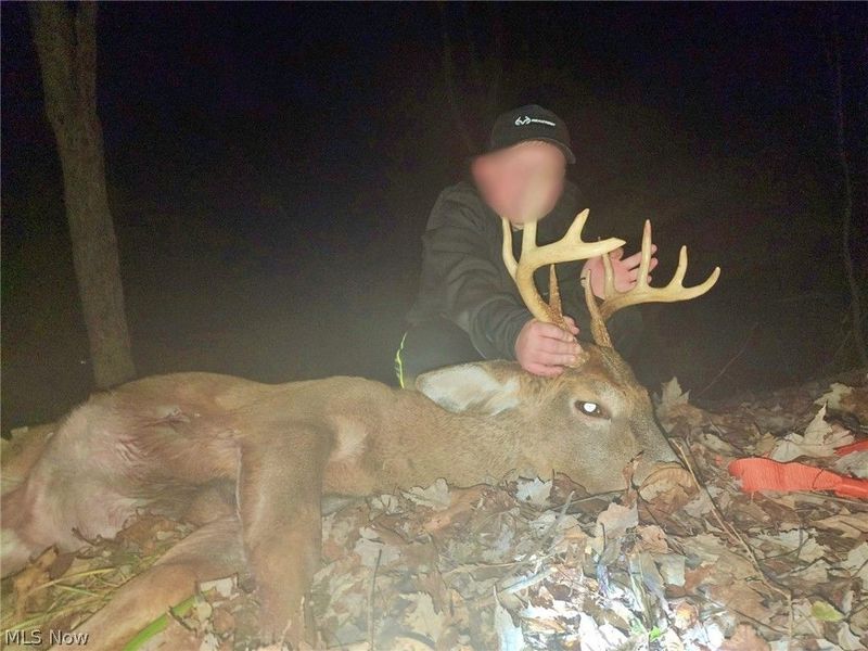 25796 Barber Road, Quaker City, OH 43773 Photo 39