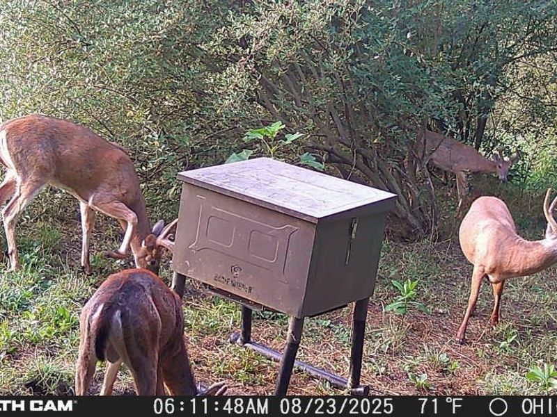 25796 Barber Road, Quaker City, OH 43773 Photo 41