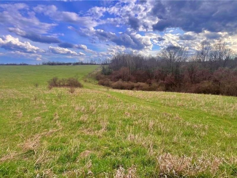 25796 Barber Road, Quaker City, OH 43773 Photo 5