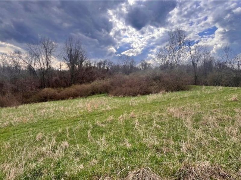 25796 Barber Road, Quaker City, OH 43773 Photo 6