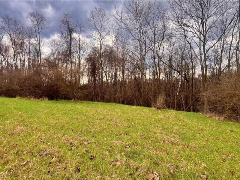 25796 Barber Road, Quaker City, OH 43773 Photo 8