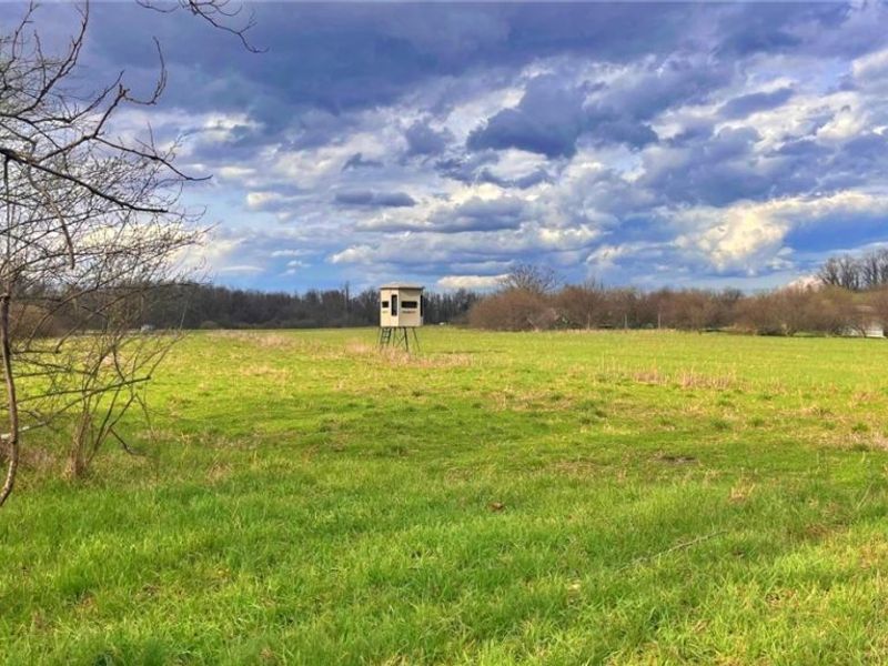 25796 Barber Road, Quaker City, OH 43773 Photo 9