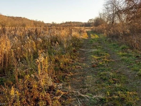 Lambert , Roseville, OH 43777