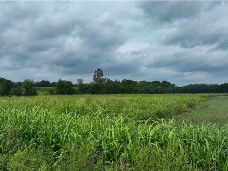 Lambert, Roseville, OH 43777 Photo 12