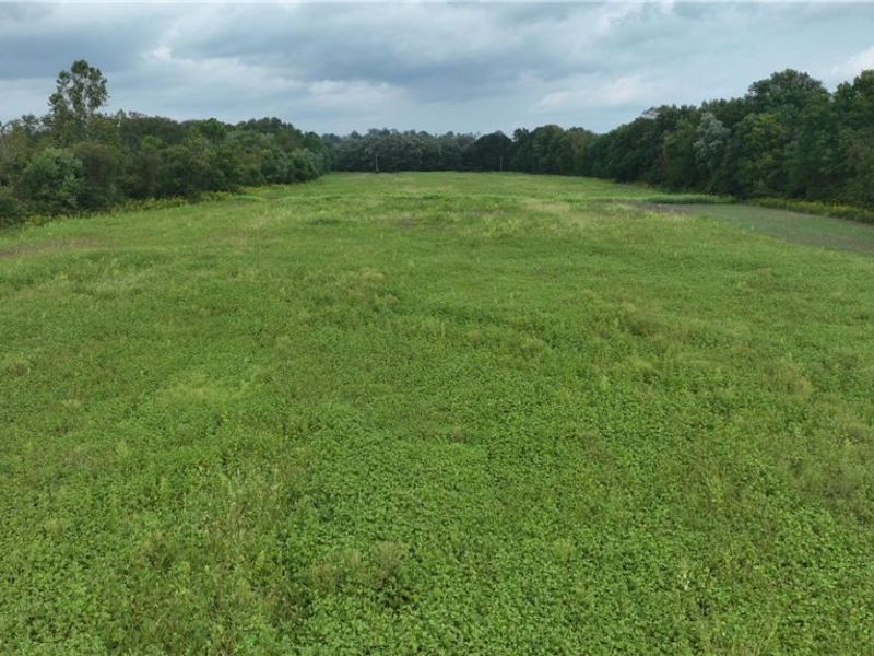 Lambert, Roseville, OH 43777 Photo 13