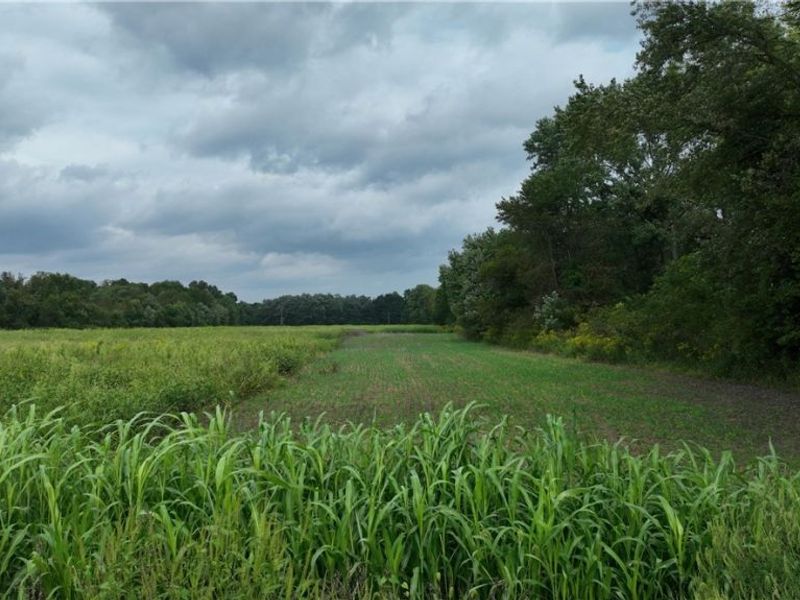 Lambert, Roseville, OH 43777 Photo 14