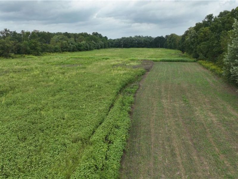 Lambert, Roseville, OH 43777 Photo 14