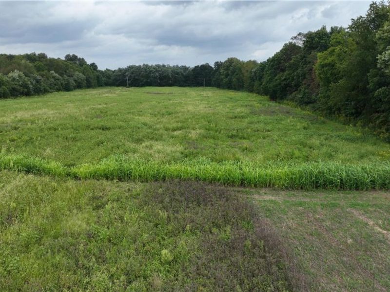 Lambert, Roseville, OH 43777 Photo 15