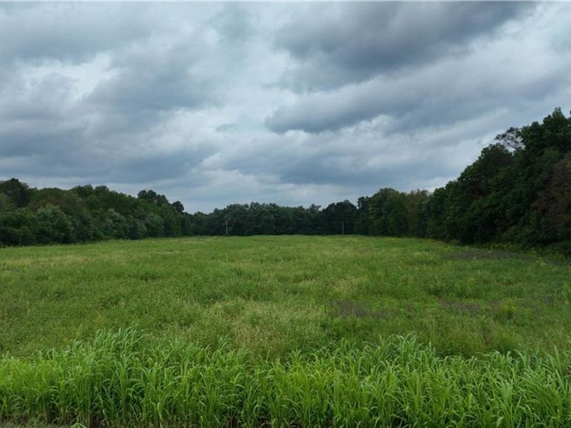 Lambert, Roseville, OH 43777 Photo 17