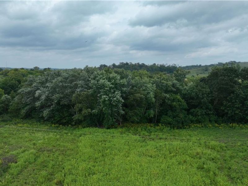 Lambert, Roseville, OH 43777 Photo 19